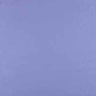 Dolphin – Blue