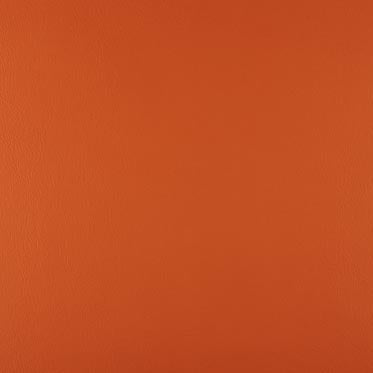 Gingersnap – Orange