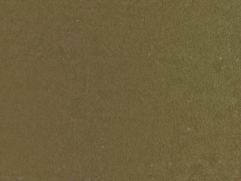 Aqua Clean  Dunbar Green