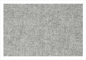 Earth Silver