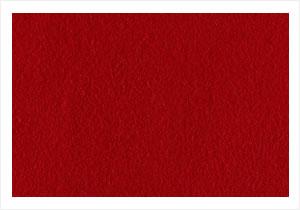 Oranges & Reds Fleet