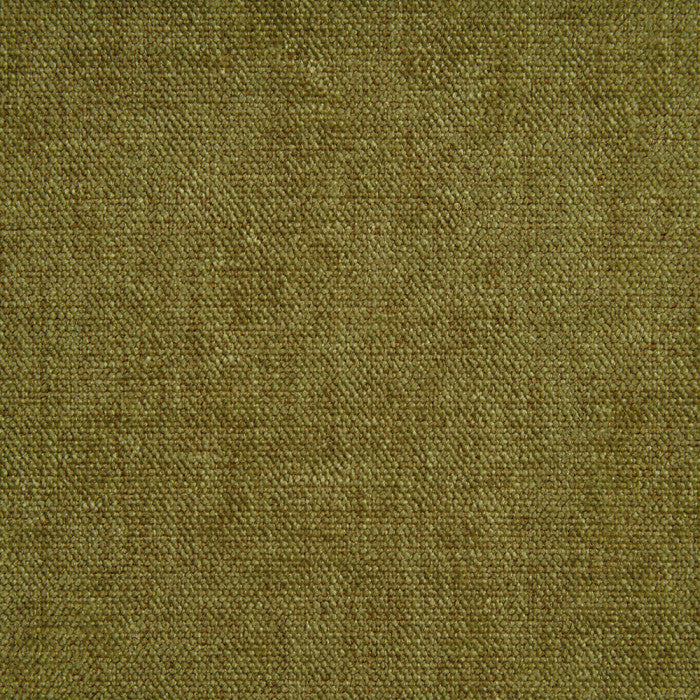 Belgravia Olive