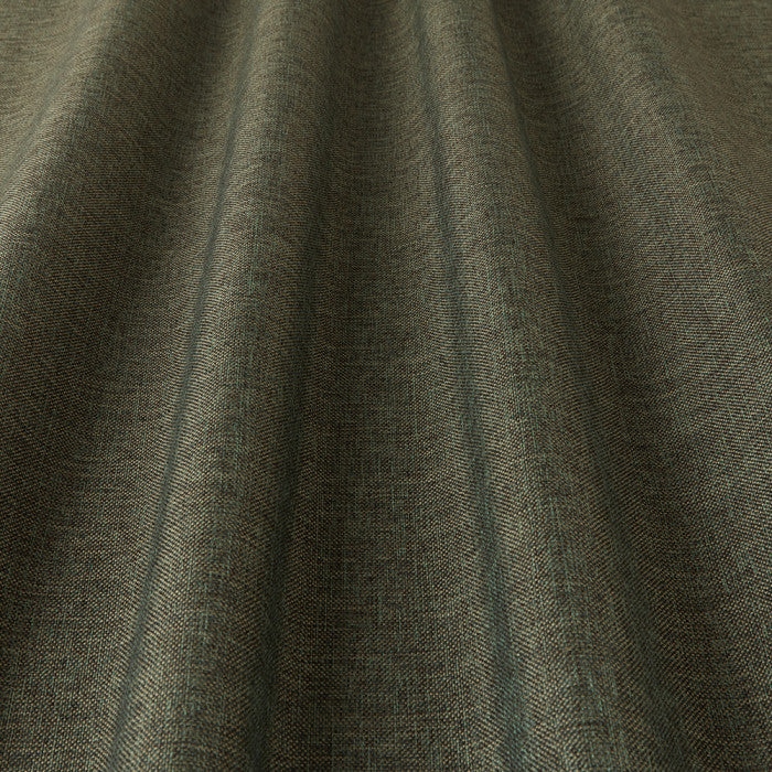 Compass Olive