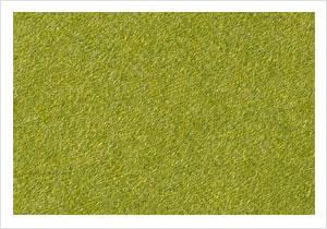 Earth Lime