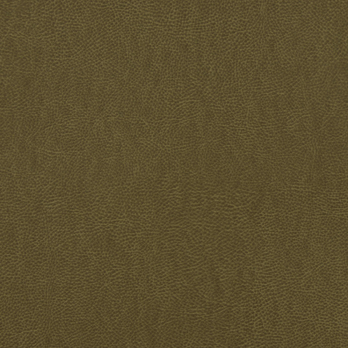 Lismore Olive