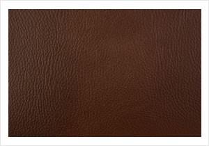 Paint Pot Chestnut