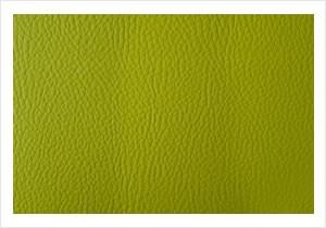 Paint Pot Lime