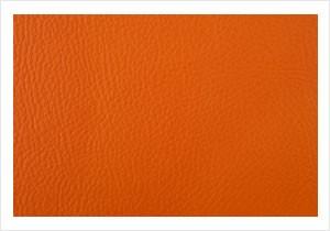 Paint Pot Orange