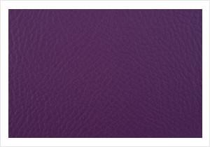 Paint Pot Purple