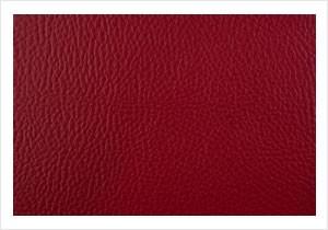 Paint Pot Scarlet