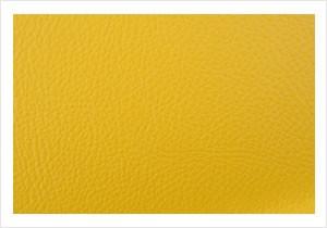 Paint Pot Yellow