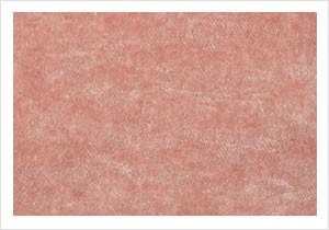 Plain Coral