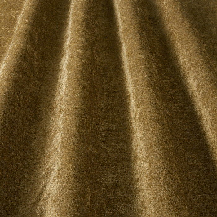 Belgravia Antique Gold