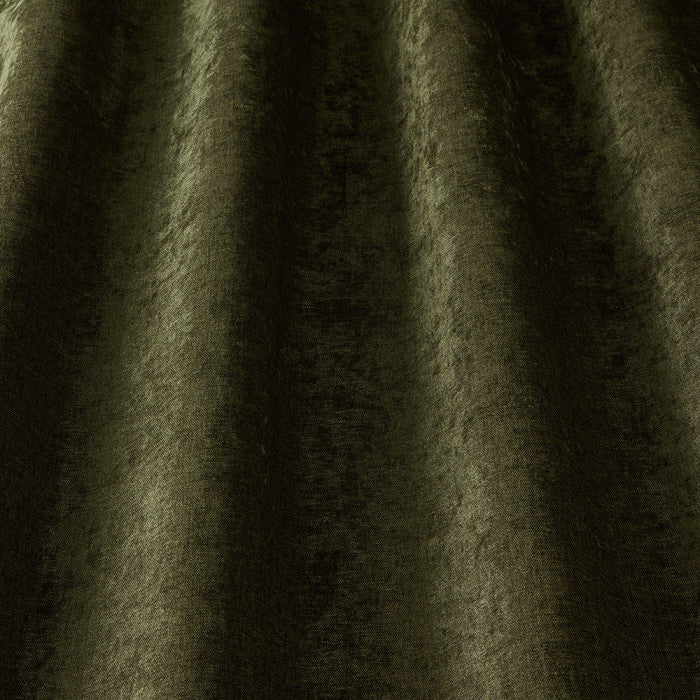 Belgravia Moss