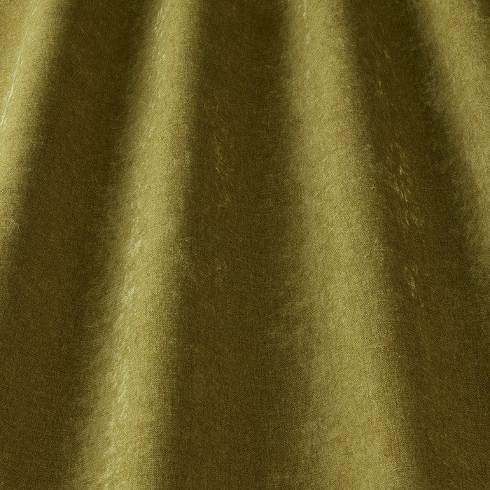 Belgravia Olive