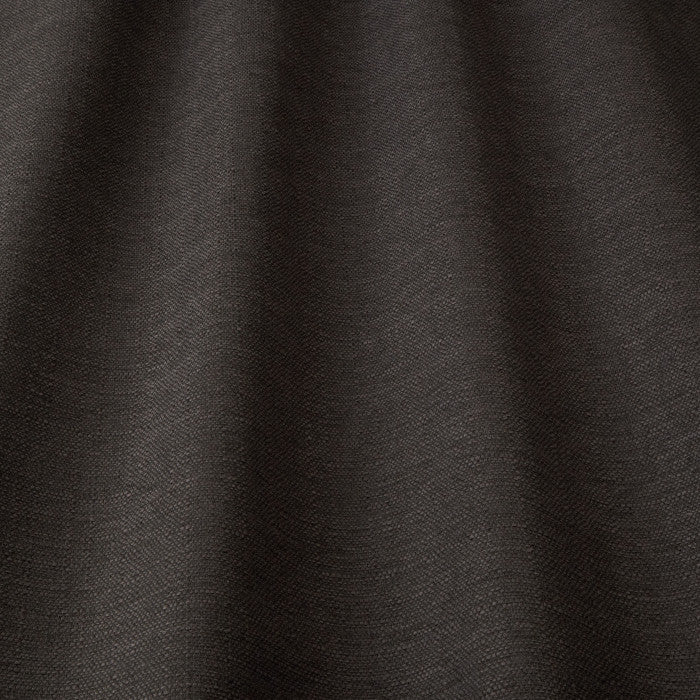 Shetland Shadow