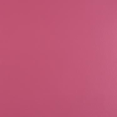 Fuchsia – Pink