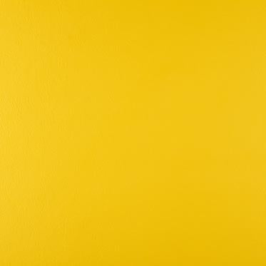 Marigold – Yellow